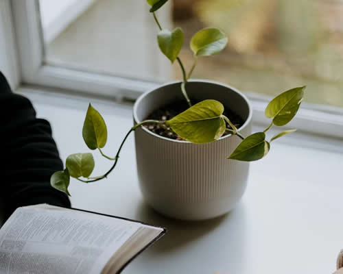 婚姻调解:家庭关系协调