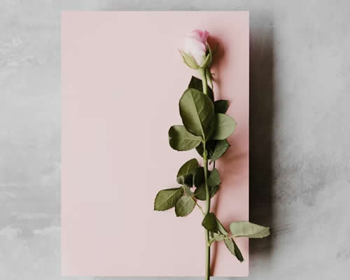 婚姻调解:离婚和平协商